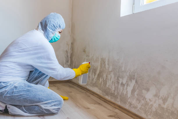 Mold Remediation specialist working in Federalsburg